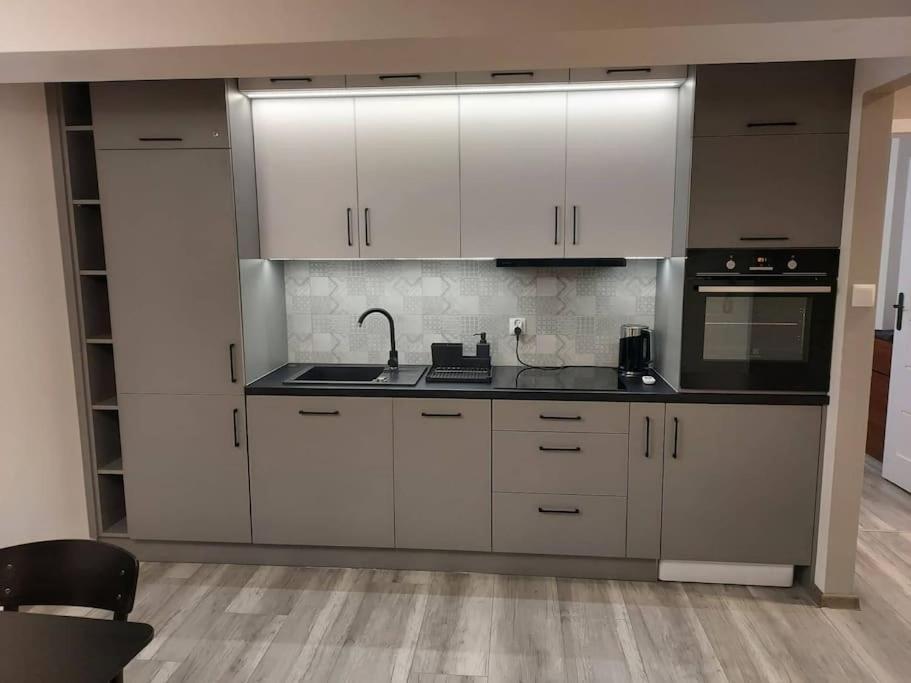Uroczy Apartament W Scislym Centrum Gizycka Giżycko Exterior foto